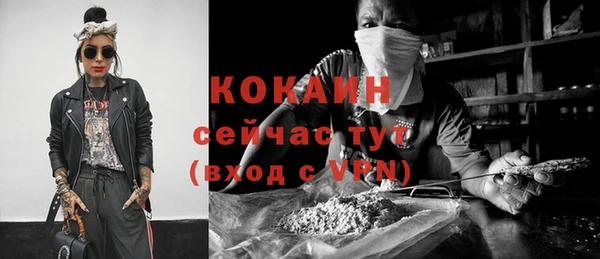 прущие грибы Баксан