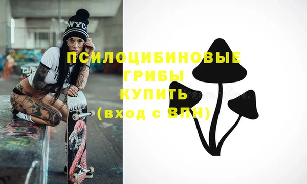 прущие грибы Баксан