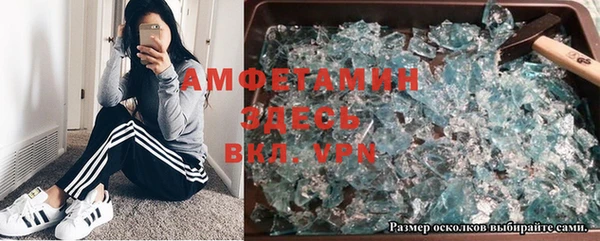 прущие грибы Баксан
