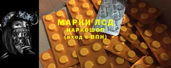 прущие грибы Баксан
