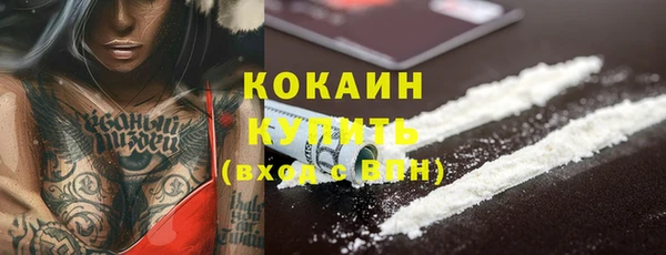 прущие грибы Баксан